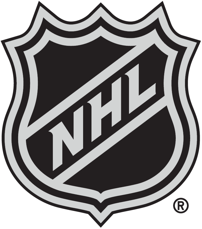 National Hockey League 2005-Pres Alternate Logo iron on transfers for T-shirts